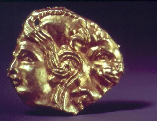 Cabeza de un joven y león